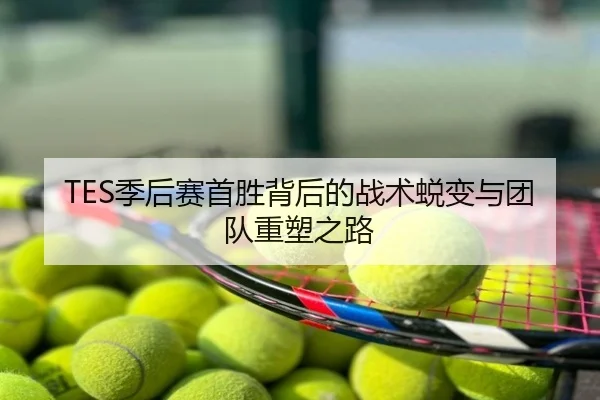 TES季后赛首胜背后的战术蜕变与团队重塑之路