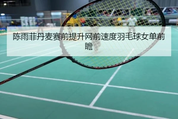 陈雨菲丹麦赛前提升网前速度羽毛球女单前瞻